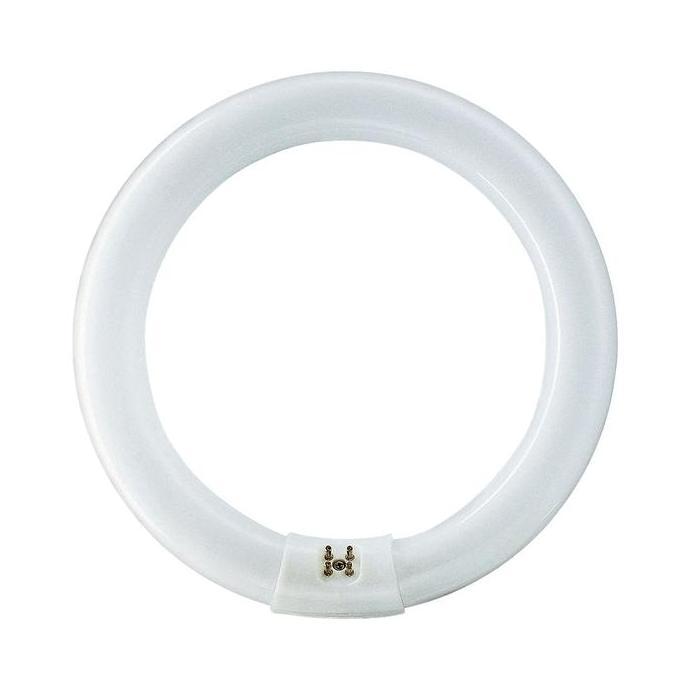 Raito- Tl Ring 22 Watt Philips / Neon Bulat 22 W / Tl Bulat 22 W / Lampu Neon
