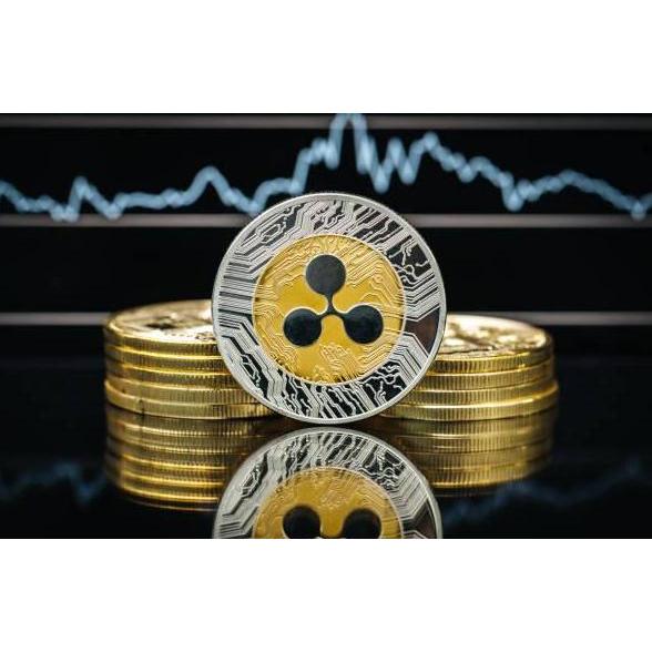 WHESTLI Coin Koin Fisik Crypto Seni Doge Ethereum Shiba Ripple Bitcoin Binance