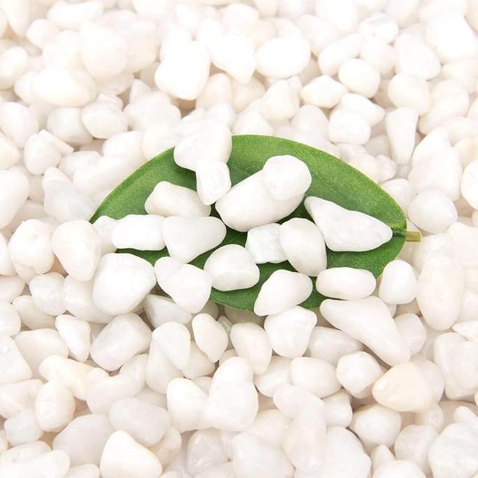 Batu Hias Putih Untuk Aquarium Taman dan Pot Kerikil