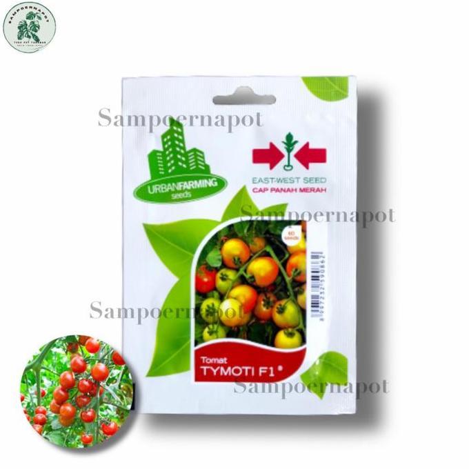 Abcd- Benih Bibit Tomat Tymoti F1 Cap Panah Merah - Tomat Tymoti F1