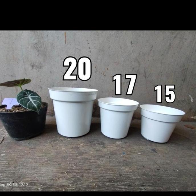 Pot Tinggi Srondol Putih, Hitam, pot tinggi murah, pot 20, 17, 15