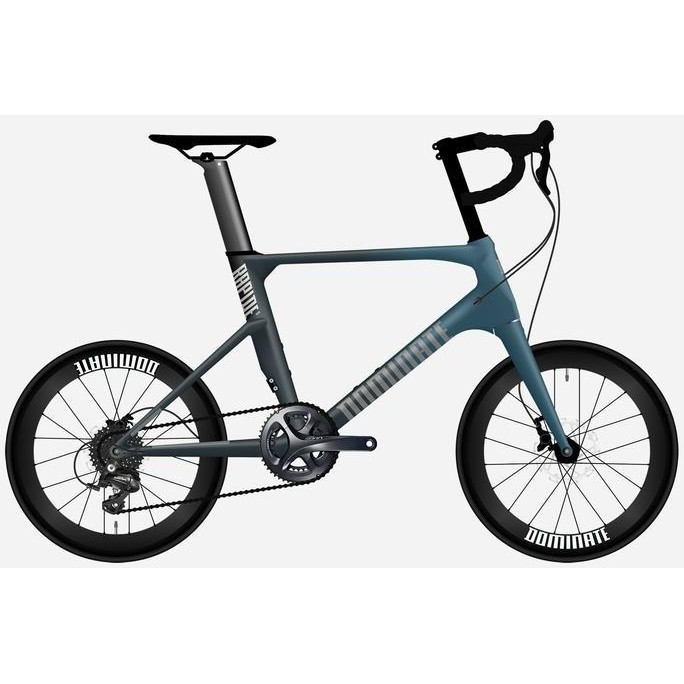 Sepeda DOMINATE RAPIDE Elite 2022