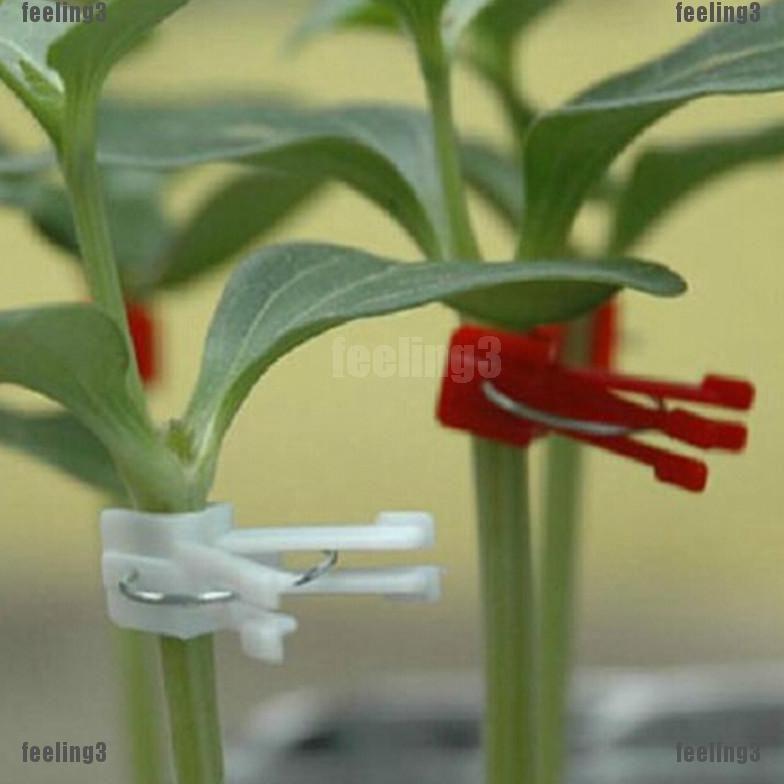 Promo Cod Grafting Clip Penjepit Tanaman Cangkok Tanaman, Penahan Cangkok, Model Jepitan Lingkar ...