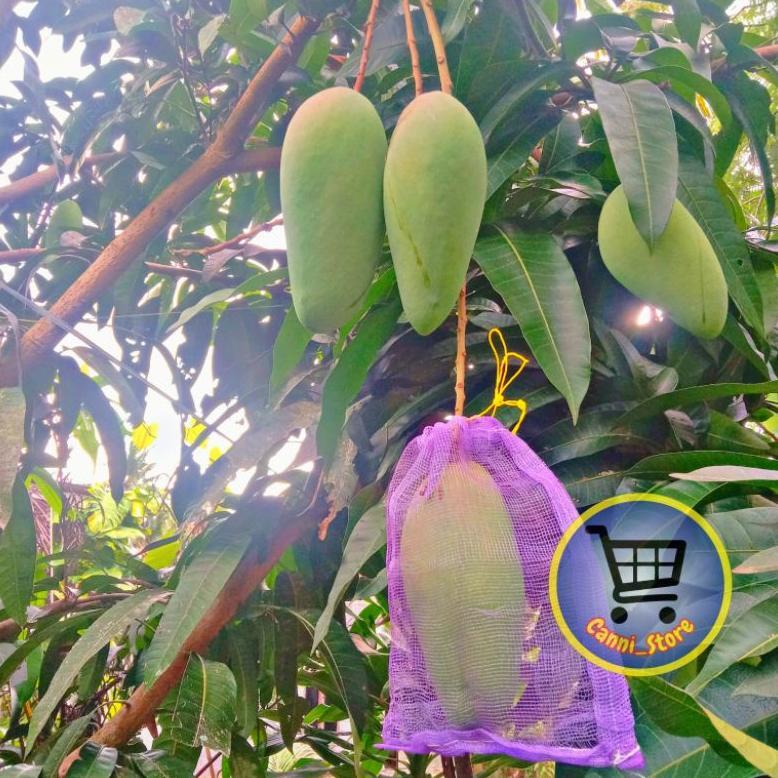 Promo Cod Fruit Cover Brongsong Buah Mangga Jambu Anggur ...