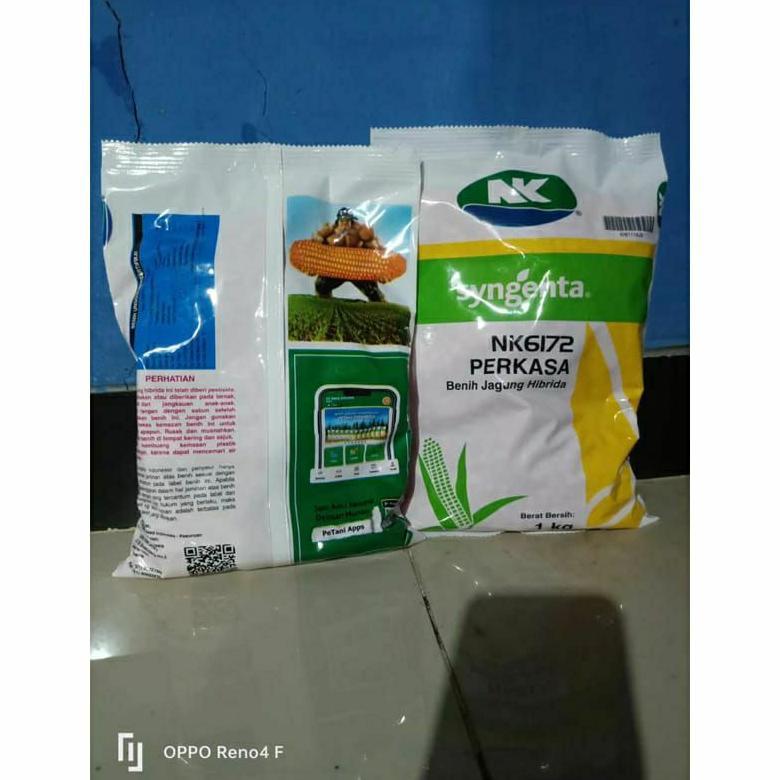 Promo Cod Benih Jagung Hibrida Nk 6172 Perkasa 1Kg #Bibit Jagung#Jagung Perkasa#Bibit Nk Perkasa ..
