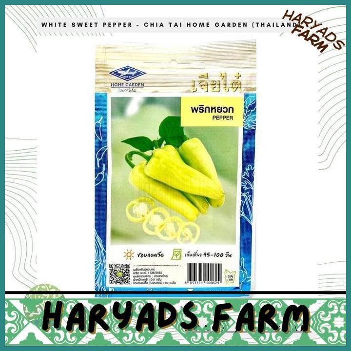 HF (1 PACK) BENIH WHITE SWEET PEPPER CABAI PAPRIKA MANIS PANJANG PUTIH THAI PEPPER SEEDS - CHIA TAI 