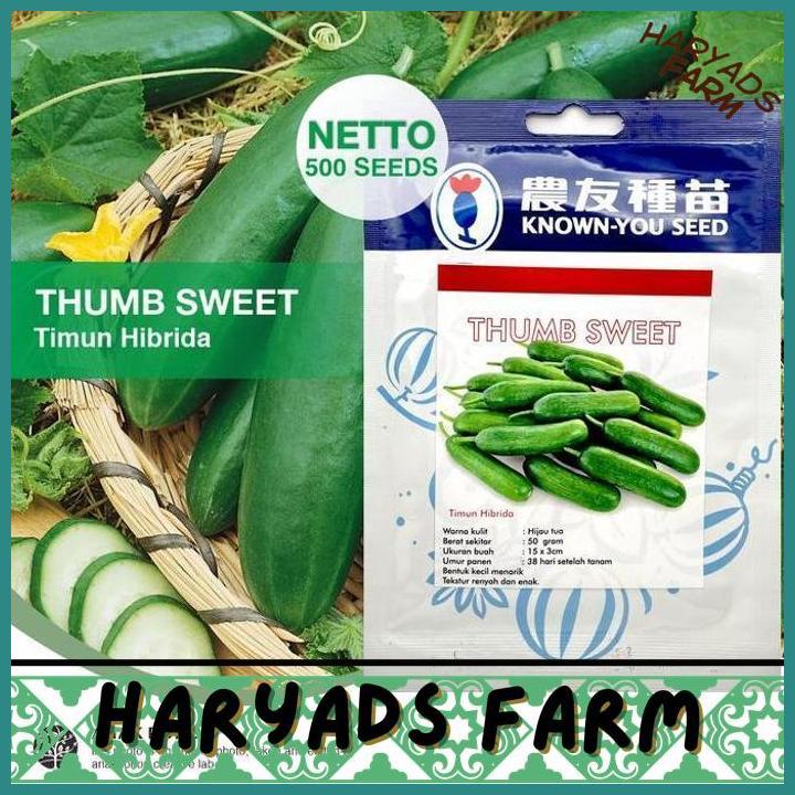 HF (1 PACK - 500 SEEDS) BENIH TIMUN THUMB SWEET MENTIMUN HIBRIDA F1 SEEDS - HARYADSFARM