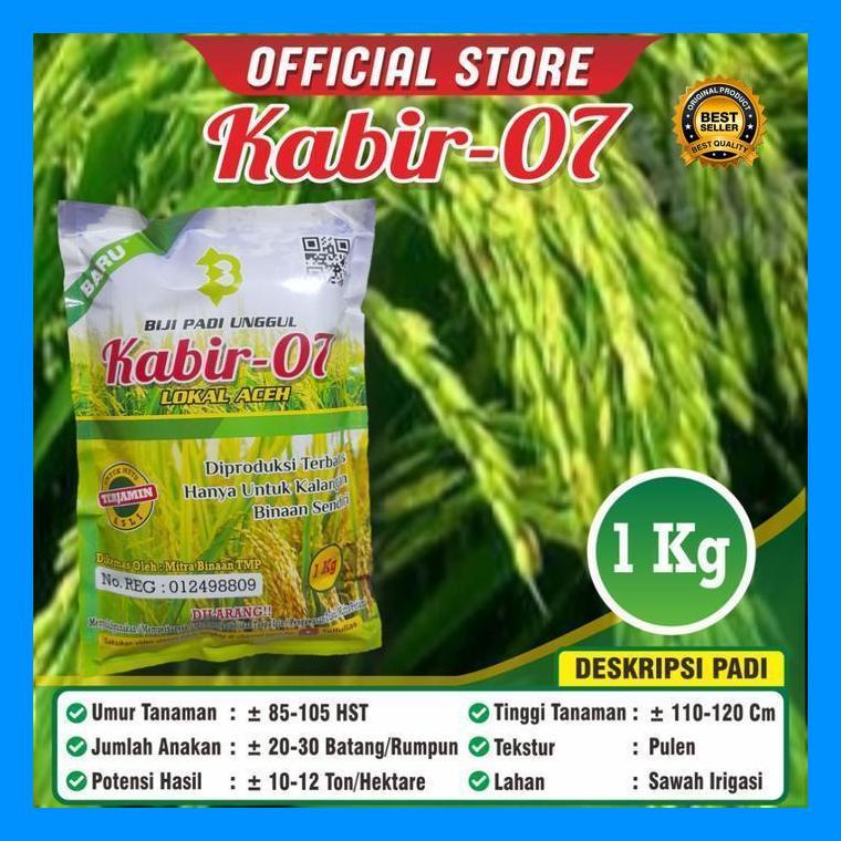 (Promo) Bibit Padi Kabir 07 Bestseller