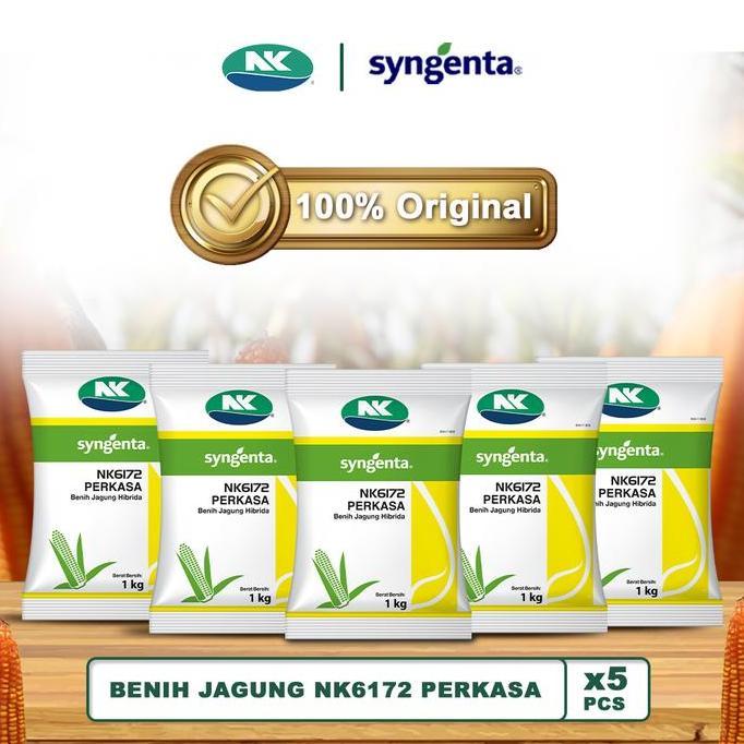 Benih Jagung NK 6172 | NK PERKASA - 5Kg