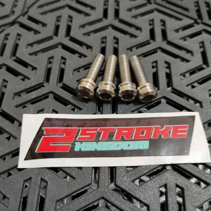 Baut cincin kupingan tk pro stainless custom