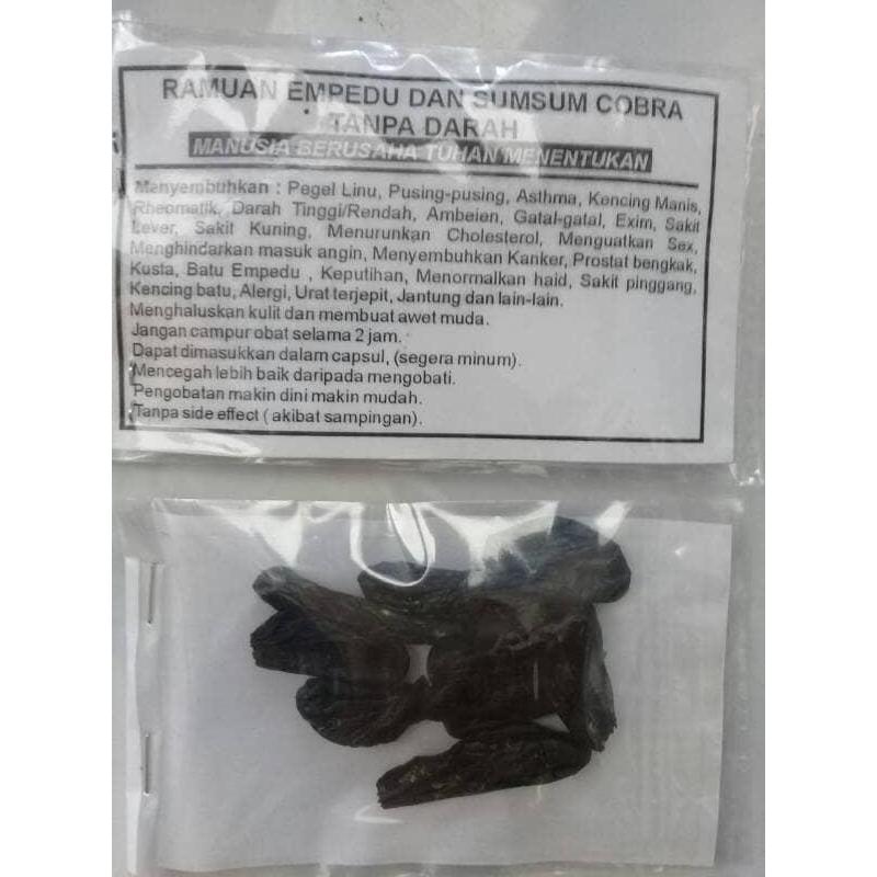 JR26 EMPEDU ULAR COBRA ASLI IBU AMINAH