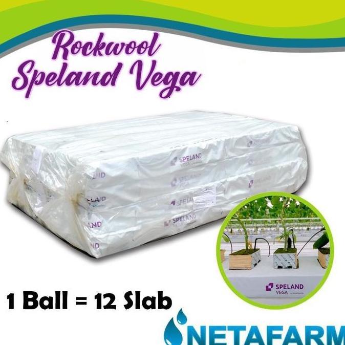 Rockwool Vegetation Mats SPELAND VEGA 1 ball 12 Slab