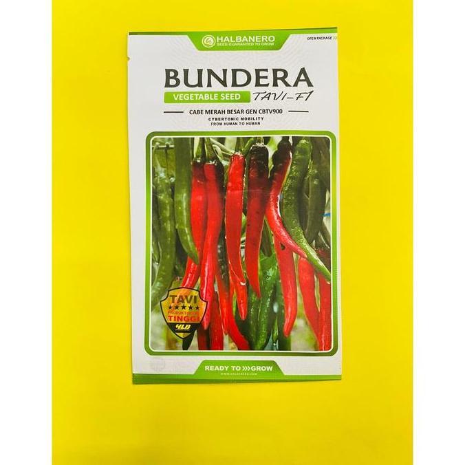 Terlaris Benih Cabai Besar Gen Cbtv900 Bundera Tavi F1 Isi 1600 Biji Dari Halbanero
