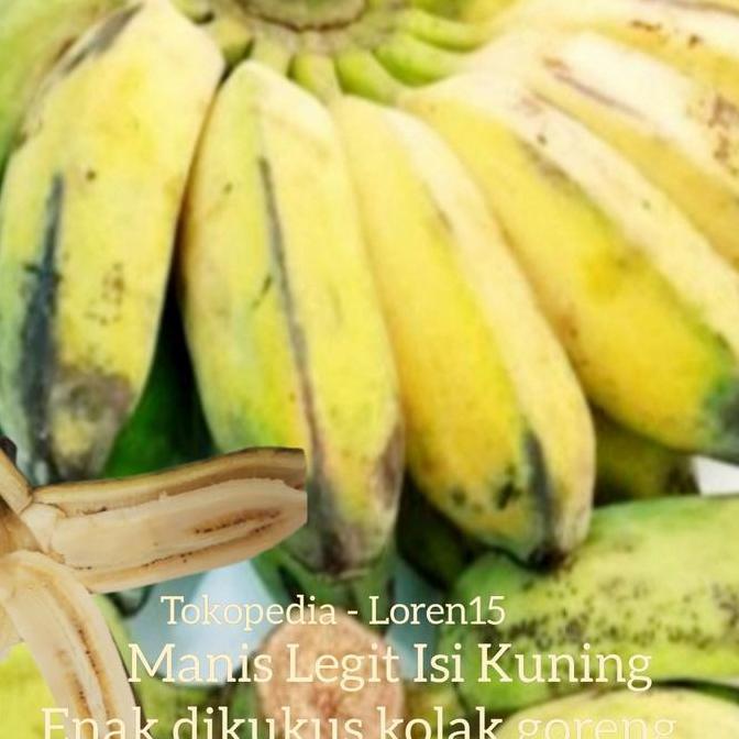 Ready PISANG KEPOK PONTIANAK ( O R I G I N A L )