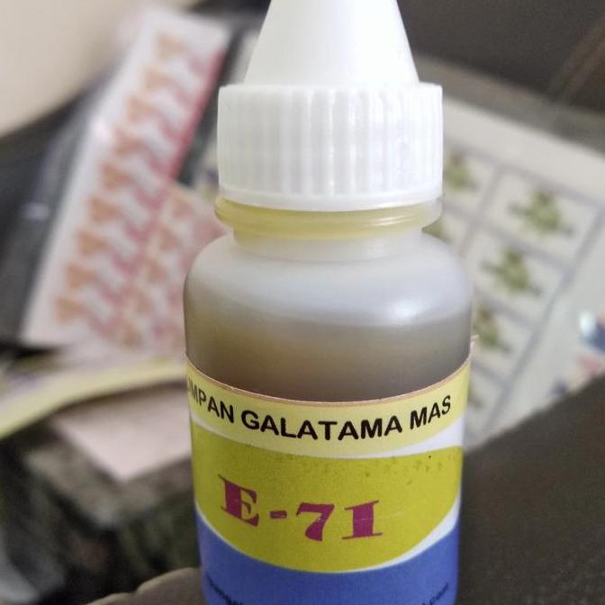 Umpan galatama ngacir (oplosan Singek) ikan mas E71