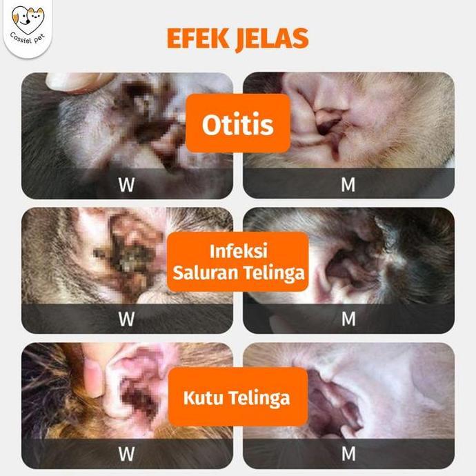 Cassiel Pet Obat Tetes Telinga Kucing Anti Peradangan Saluran Telinga Anti Earmites Conge Gatal Dan 