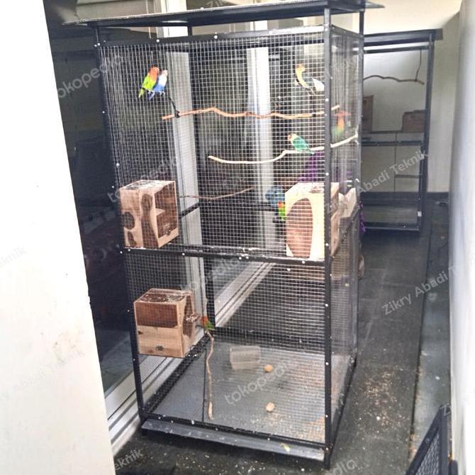SANGKAR KANDANG UMBARAN TERNAK BURUNG KOLONI LOVEBIRD MURAI ALBINO