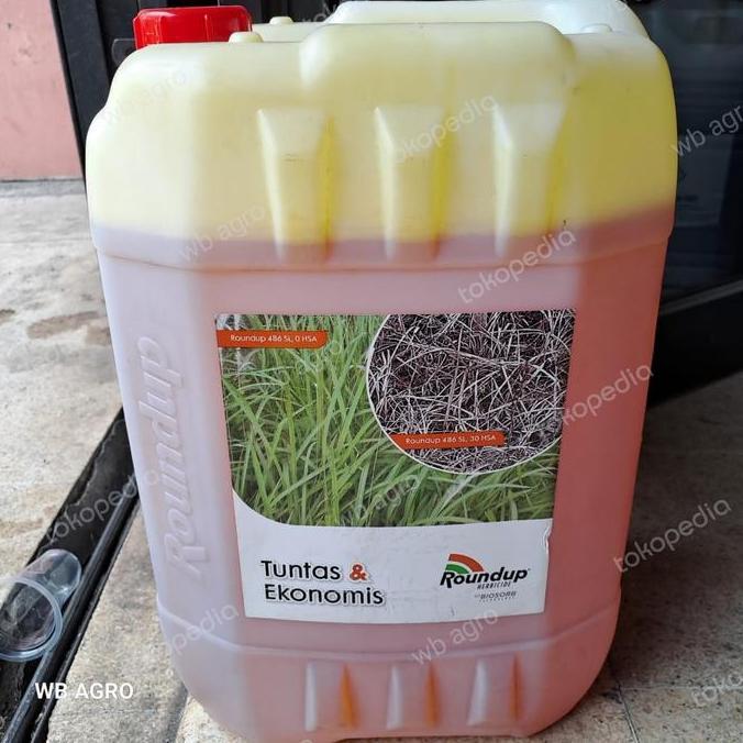 Promo Herbisida Roundup 20 L COD