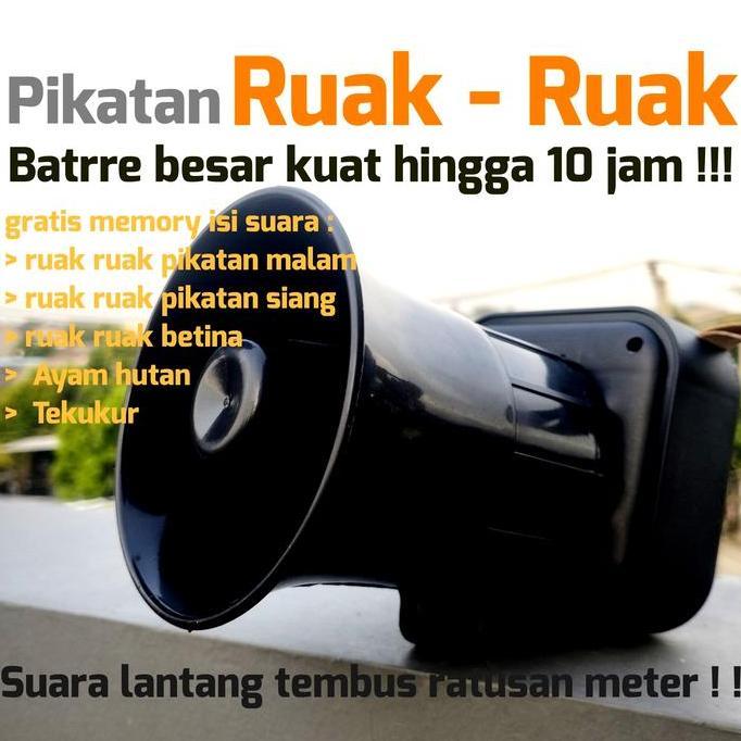 Speaker pikatan ruak ruak ayam hutan burung pemburu