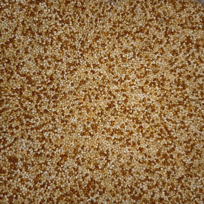 PROMO DISKON - Milet putih campur milet merah 25kg - pakan lovebird