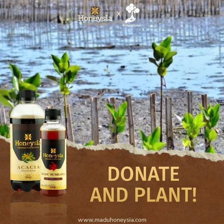 Madu Murni Asli Honeysia Akasia 330gr Raw Honey