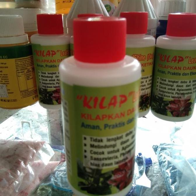 Promo pengkilap daun tanaman hias COD