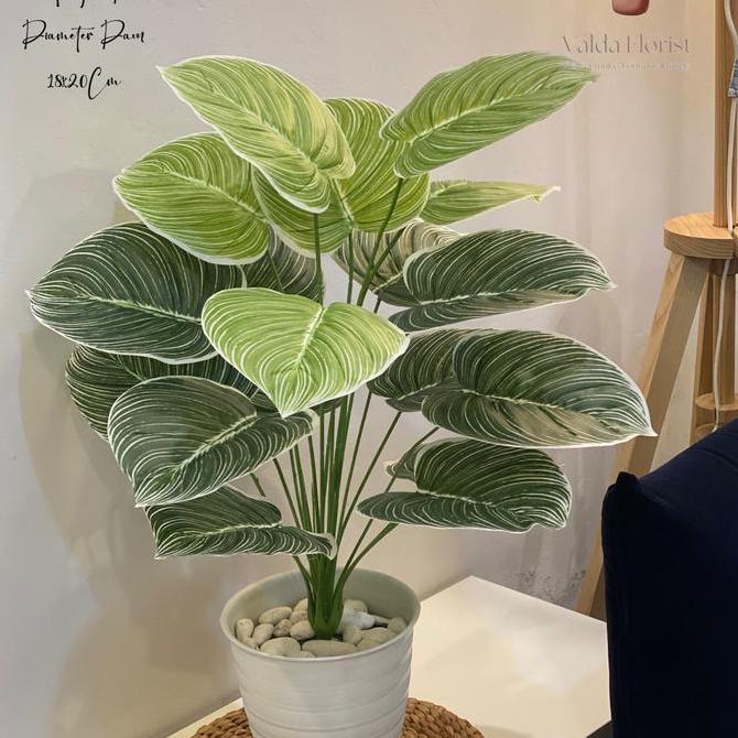 Promo DAUN AGLONEMA ARTIFISIAL 18 DAUN PLASTIK TANAMAN POJOK RUMAH BUNGA DEKORASI POJOK RUMAH MURAH 