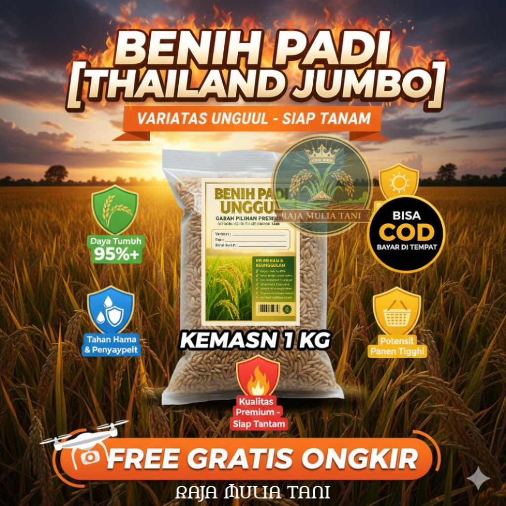 Benih Padi Thailand Jumbo 1kg | Bibit Padi Unggul Cepat Panen | Produksi Tinggi Cocok Sawah Irigasi 