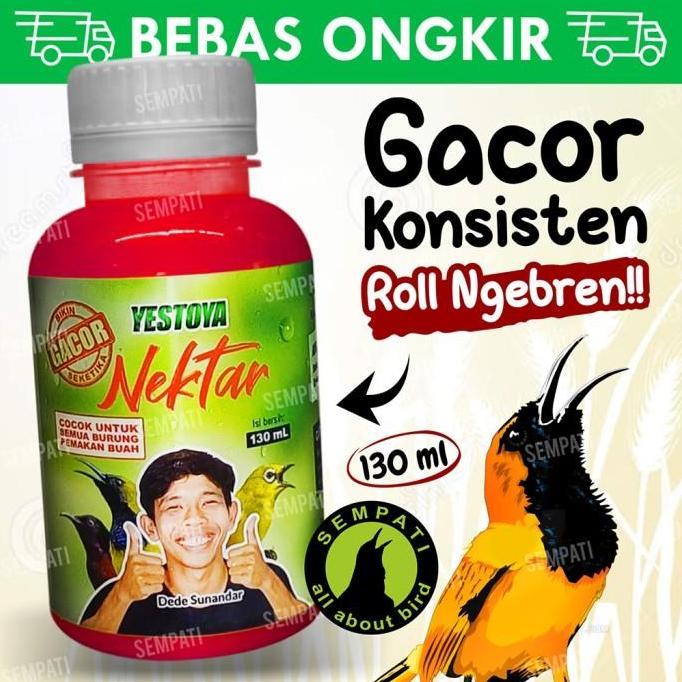 Yestoya nectar nektar pakan minuman burung burung kolibri konin ninja