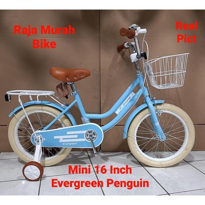 Terbaru Sepeda Anak Perempuan Mini 16 Inch Evergreen Penguin Sepeda Anak Mini Penguin Evergreen 16 I