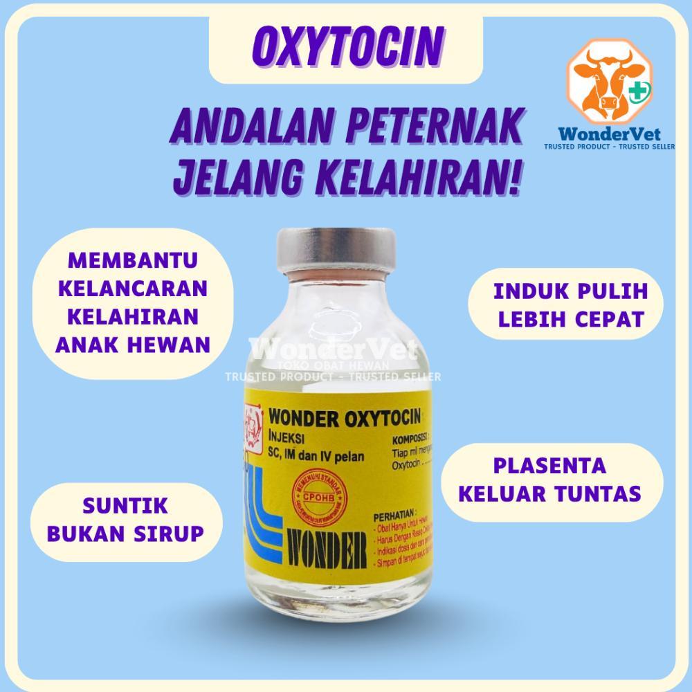 OXYTOCIN injeksi/suntik- bantu memperlancar kelahiran hewan - induksi hewan bunting lahiran