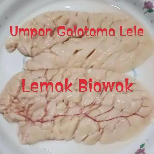 Umpan Galatama Lele Lemak Biawak 500gr