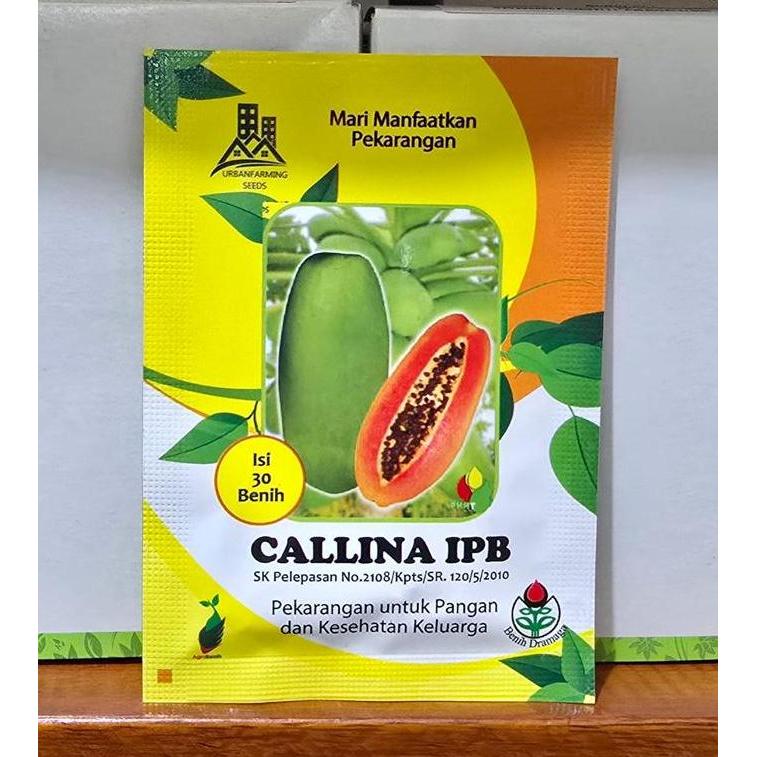 Benih Pepaya Callina IPB (IPB9)