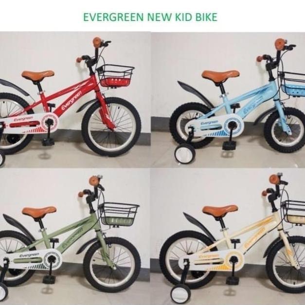 Sepeda Anak Evergreen Evans D-23 Keranjang Velg Alloy