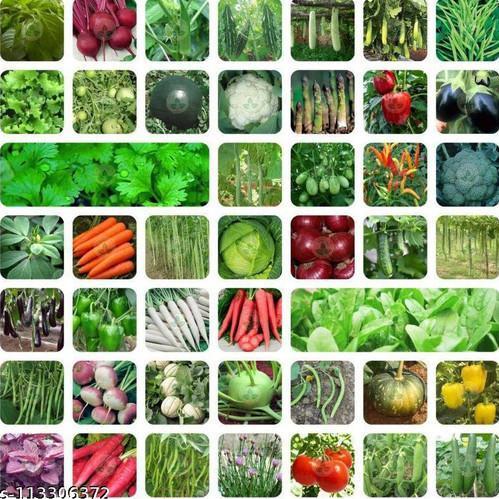 Promo Cod Paket Hemat Lengkap 25 Macam Bibit Sayur Sayuran Tanaman Herbal Buah Bunga Dll 