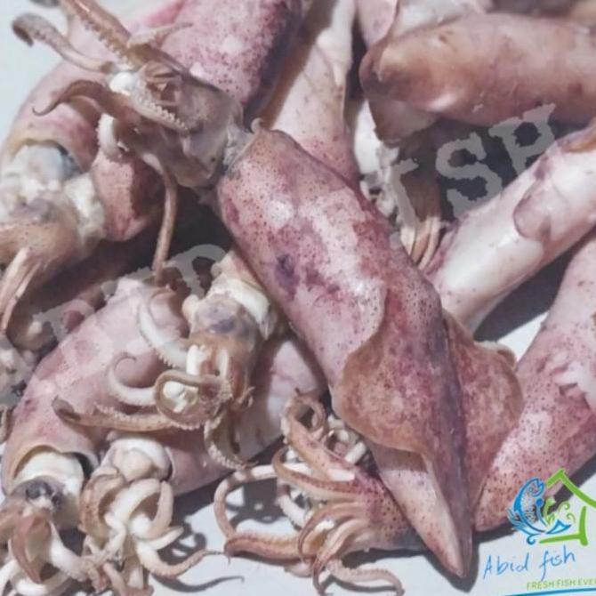 Dindaseller6 - Cumi Asin Telur Ikan Asin Cumi Telur Kiloan Premium