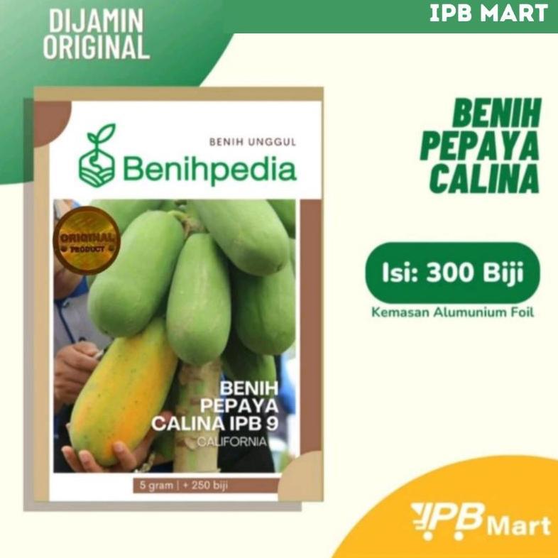 Benih Pepaya Calina IPB 9 / California 5 Gram