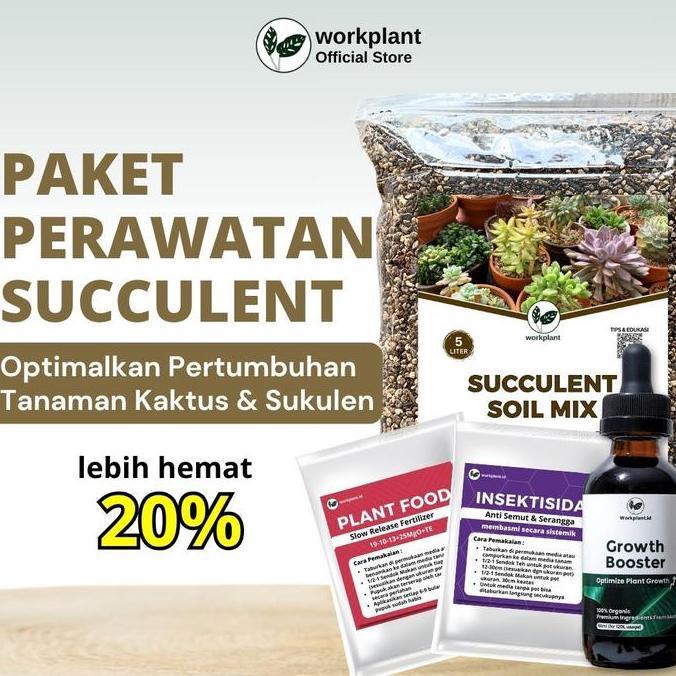 Workplant - Paket Perawatan Succulent Optimalkan Pertumbuhan Tanaman Hias Kaktus dan Sukulen