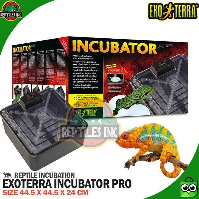 TERBARU - Exoterra Incubator Pro Inkubator Telur Reptil Gecko Kura Iguana Ular