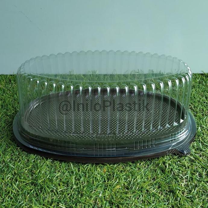 New- Mika Cake Oval / Mika Oval / Mika Tart Mika Siffon