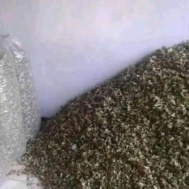 New- Daun bidara kering 1 kg super