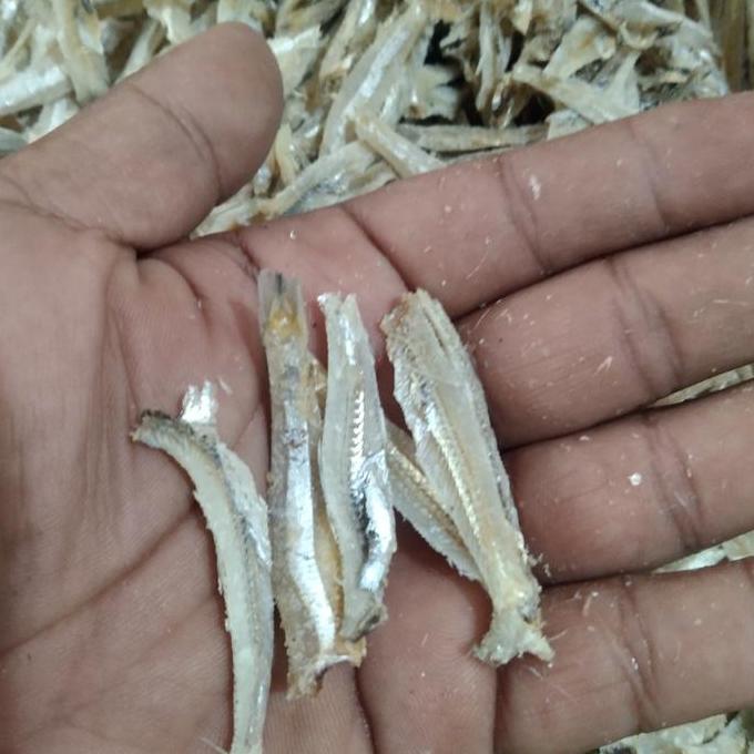 Teri jengki belah/teri belah/teri kacang