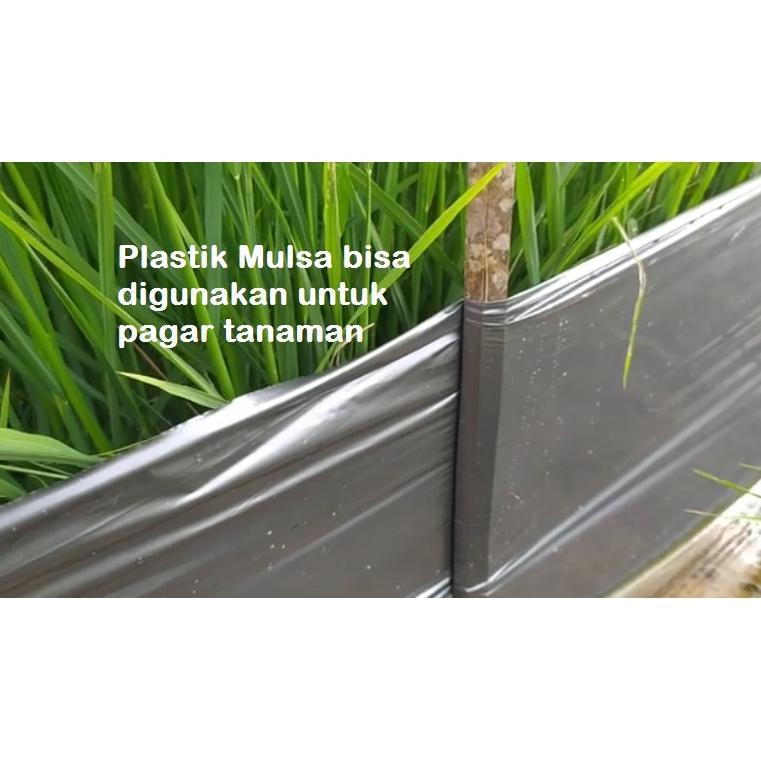 Promo Cod Mulsa Plastik Mulsa Pertanian Plastik Hitam Perak 1kg Lebar 100 Cm Panjang 100 Meter Tanam