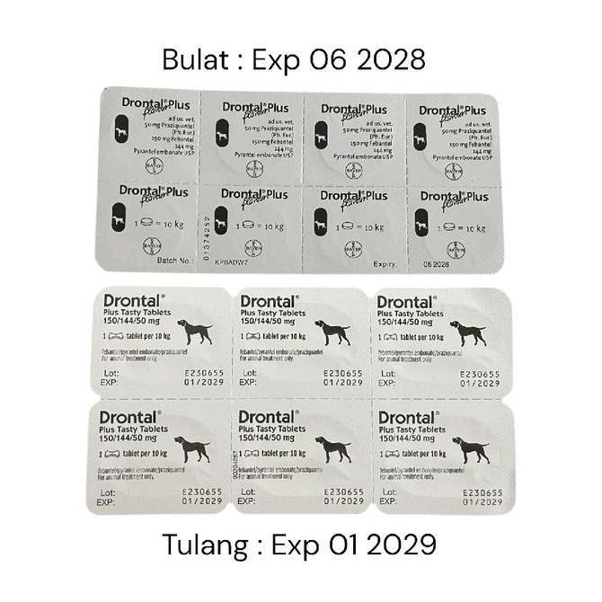 Promo Drontal Dog 1 Tablet Obat Cacing Anjing Obat Anjing Drontal Anjing Drontal Plus Cacing Anjing 
