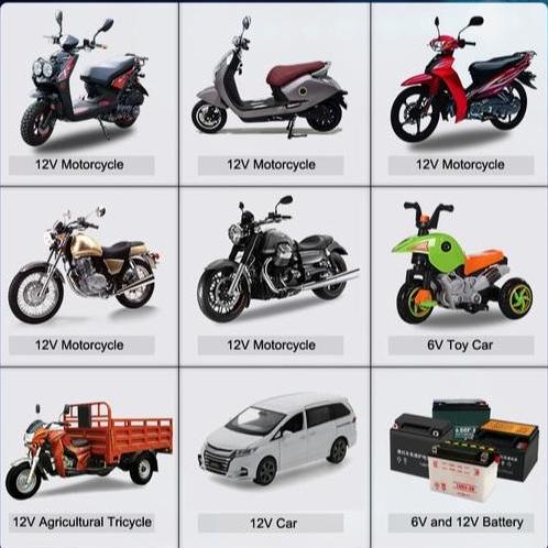 Sale Cas Aki Charger Aki Motor Charger Aki 6V/12V 40Ah Foxsur