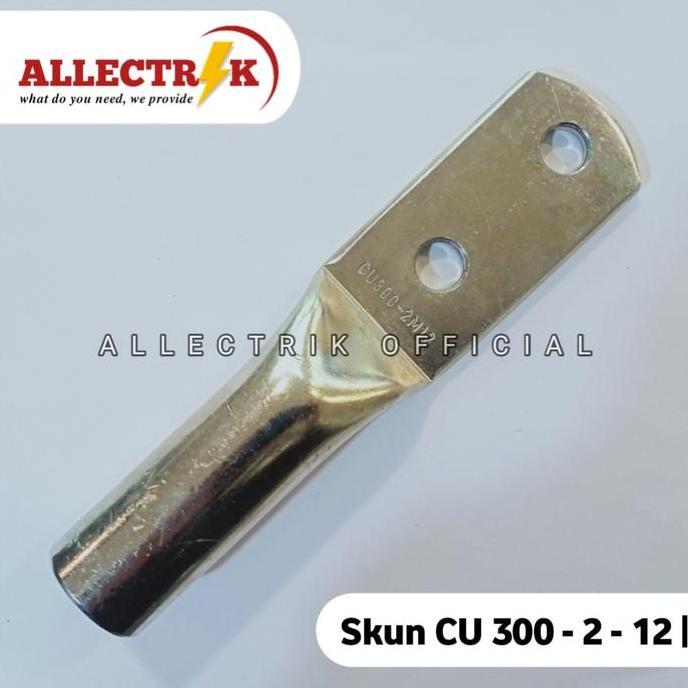 Promo Skun Cu Tembaga 300 mm Hole 2 / Skun Cu 300 2 Lubang Diskon