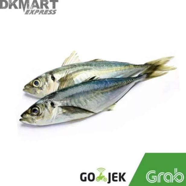 Terlaris Ikan Kembung Segar 500 Gram Makanan // Ikan Segar Semarang