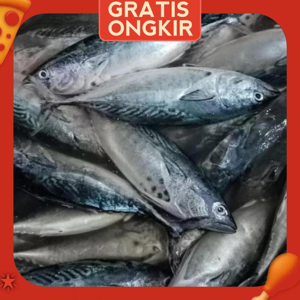 Ikan Tongkol Segar 1Kg