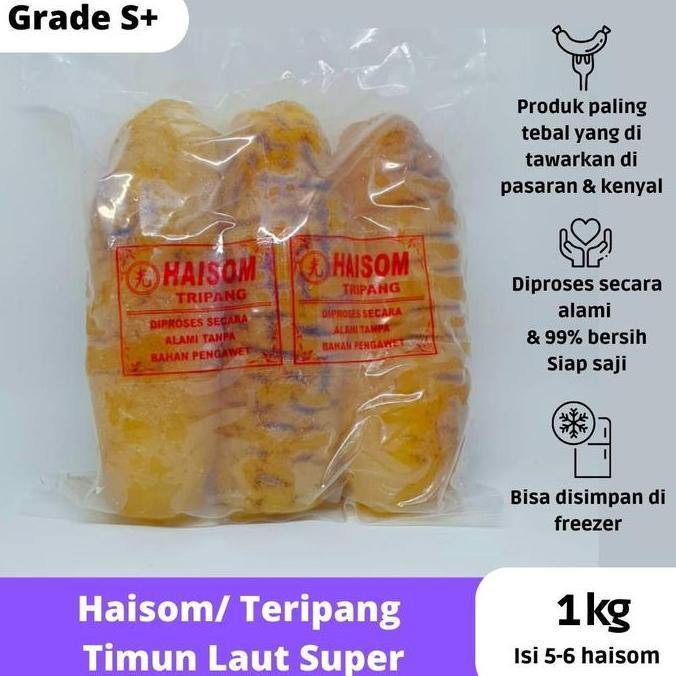 Haisom Teripang Super Bangka Belitung Tripang Basah Siap Masak Beku