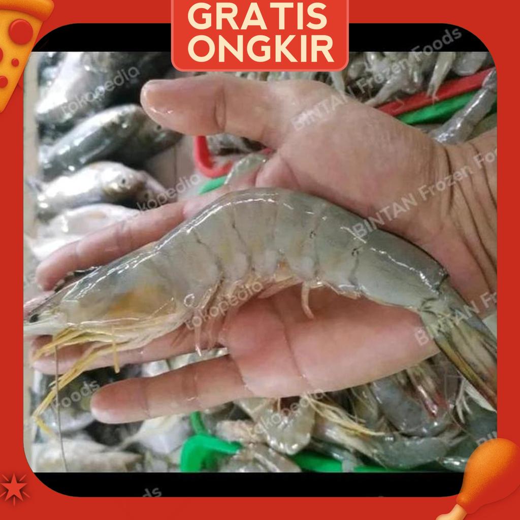 UdangPeciLautBesarSegar 1 Kg